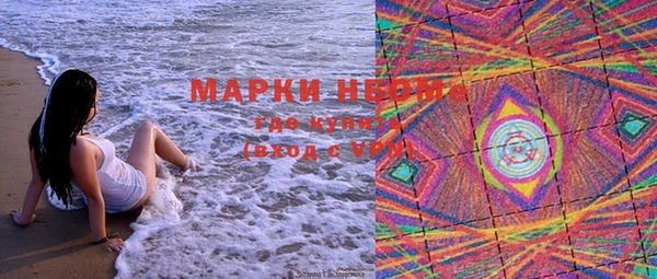 стафф Алексин