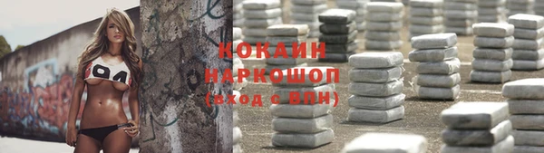 стафф Алексин